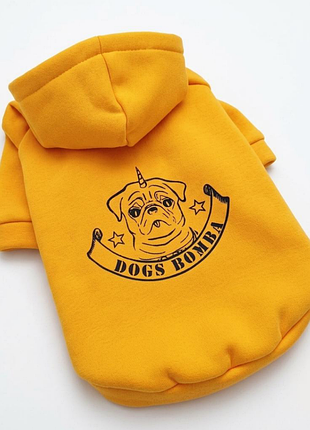 Толстовка для собак dogs bomba