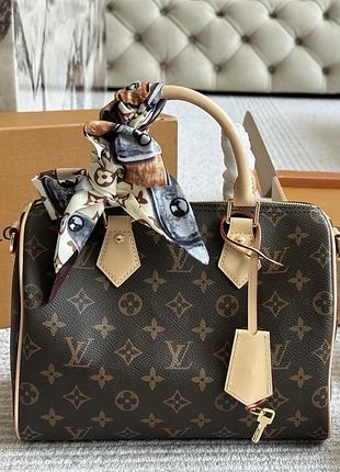 Louis vuitton speedy 25 monogram