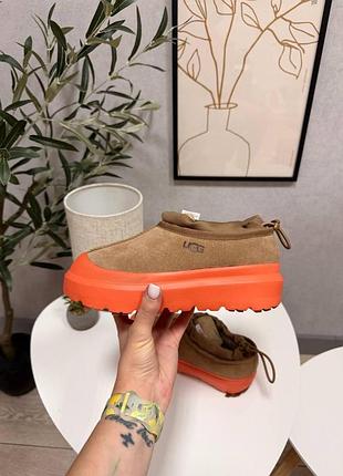 Уцінка уггі ugg tasman hybrid chestnut orange