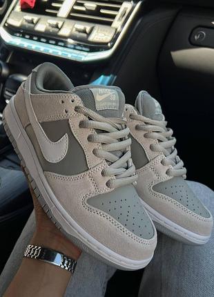 Nike sb dunk low premium 2