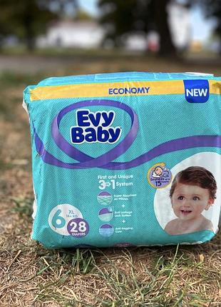Evy baby 6
