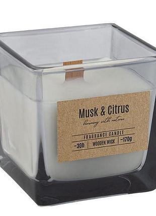 Свічка ароматична з дерев'яним фітелем bispol musk citrus sn82-000-79