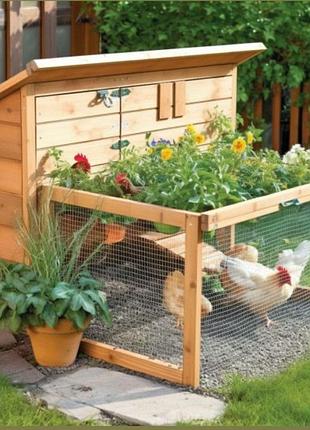Курник из натурального дерева goldenyard poultry house, покрытый бесцветным маслом воском 120см*150 см *120 см кпд090