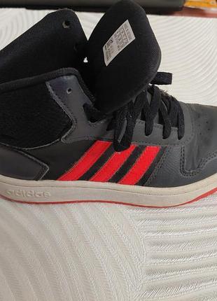 Adidas hoops 2,0 mid