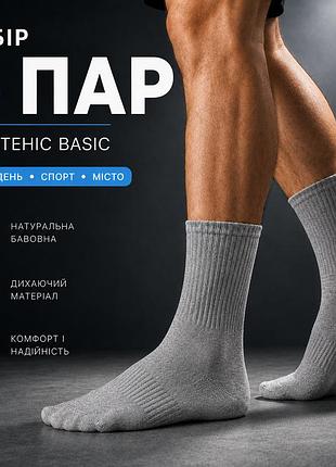 Набор носков лео теннис basic 40-45 6 пар черный сірий
