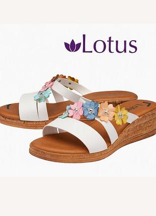 Шльопанцы летние🌿lotus 🪷 39/40made in italy ✌️ кожаные женские шльопки вьєтнамки