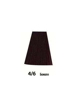 Краска для волос acme-professional siena inova 90 мл 4/6 божоле