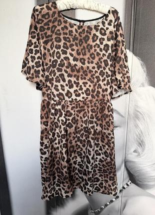 Сукня bohoo animal print леопард