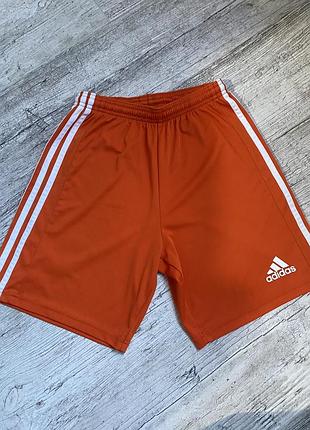 Спортивні помаранчеві шорти adidas 🧡