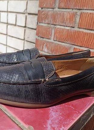 Женские кожаные лоферы / мокасины clarks collection на широкую стопу (38.5–39 размер)