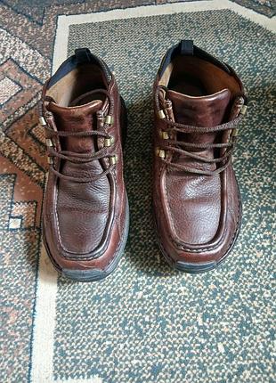 Чоловічі черевики timberland