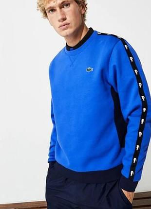 Чоловічий світшот lacoste 8