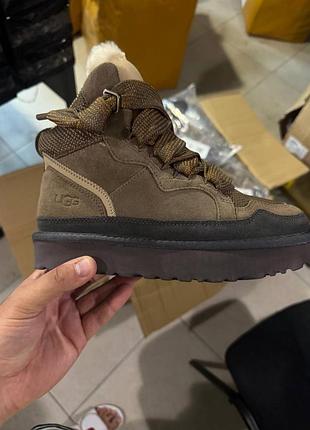 Жіночі уггі кросівки хайленд зимові високі замшеві сірі  ugg highmel sneaker cobble grey