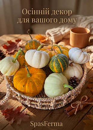 Декоративные тыквы