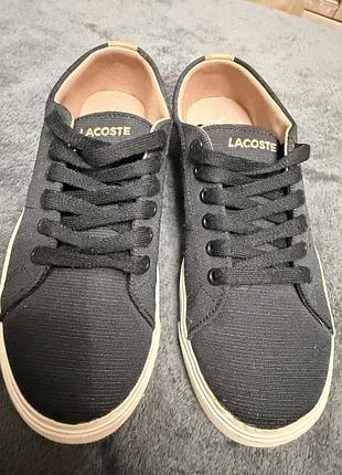 Кеди lacoste