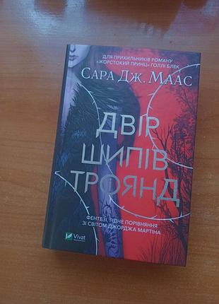 Дверь шипов и роз. с. дж. маас. книга.