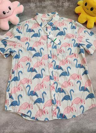 Рубашка penguin original из фламинго