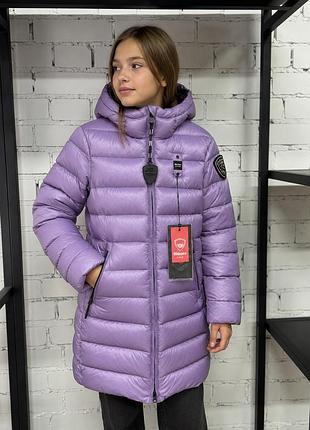 Детская демисезонная куртка для девочки blauer 11-12 р 146-152 см фиолетовая/лиловая однотонная (12346035-45)