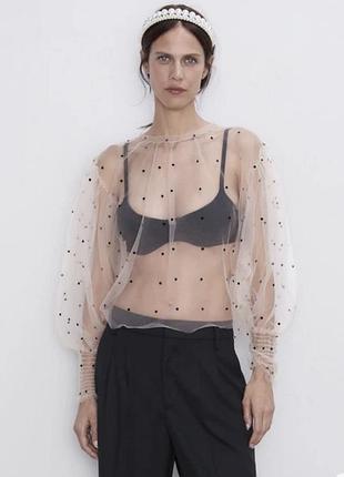Топ жіночий zara в горох, розмір l