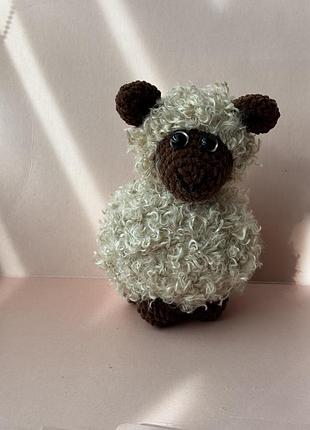 Самая мягкая овечка, которую ты когда-либо держат в руках 🐑💖