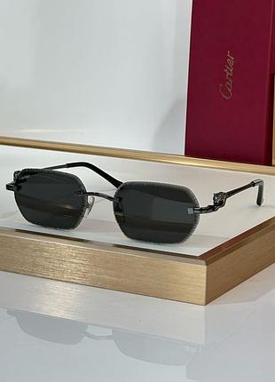 Cartier ct0801s signature c de cartier — чоловічі сонцезахисні окуляри