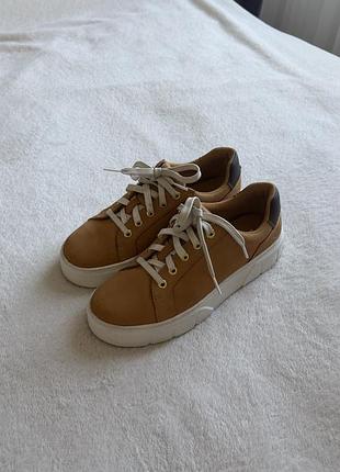 Кросівки жіночі timberland