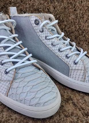 Высокие кеды, кроссовки от голландского бренда rehab footwear 39 размер.