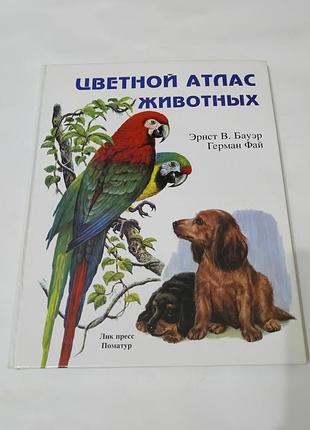 Книга. цветной атлас животных.  1997. 100 стр.