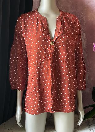 Подарунок! вільного крою блуза сорочка в горошок papaya / розмір l - xl - xxl
