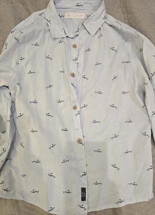 Сорочка zara 128p