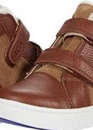 Черевики ugg