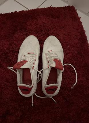 Кросівки adidas чоловічі