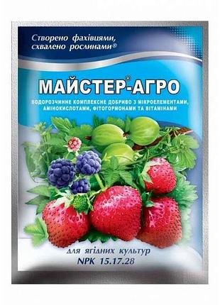 Водорозчинне сухе добриво для ягідних культур, 100г тм майстер-агро