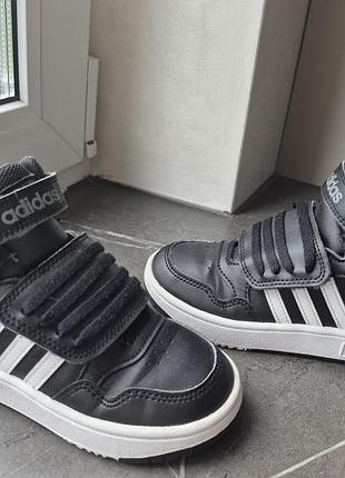 Черевички кросівки adidas