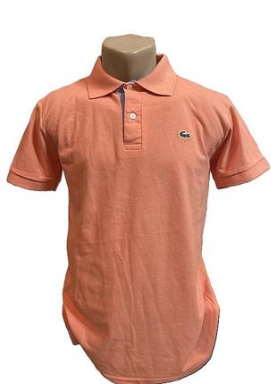 Поло мужское lacoste (m)