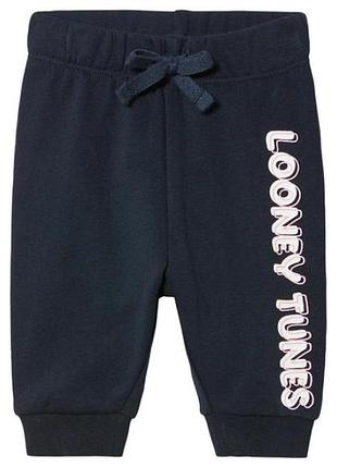Спортивные штаны джоггеры двунитка для девочки disney looney tunes 468582 062-68 см (2-6 мес.) темно-синий
