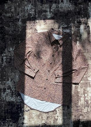 Shein асиметрична лео сорочка анімалістична блуза блузка
