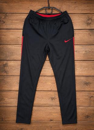 Дитячі спортивні nike 10-12р