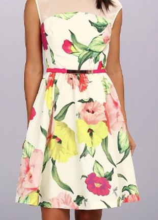 Сукня міді ted baker "iberis flowers at high tea" (оригінал)