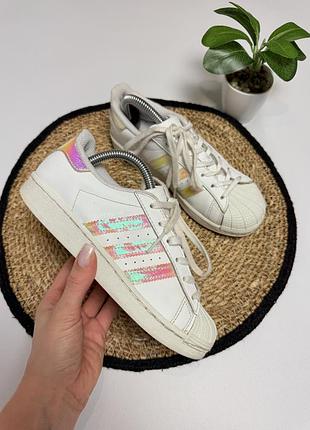 Кросівки adidas super star для дівчинки