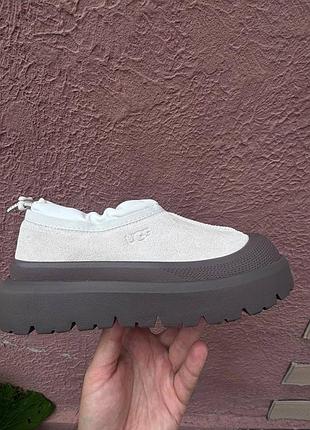 Жіночі уггі сліппер тасман ультра міні прорезинені ugg tasman hybrid weather jasmine/molasses