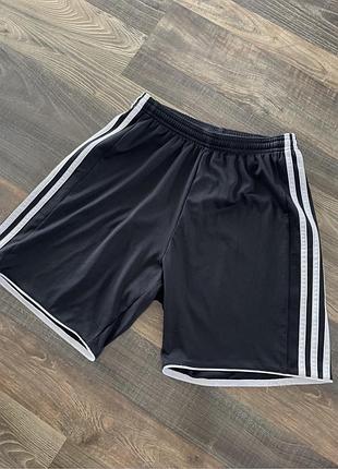 Чоловічі спортивні шорти adidas climacool