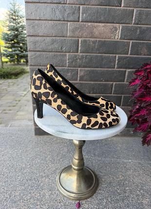 Люксові леопардові туфлі dune london з натурального ворсу поні / р. 39 🐆🐆🐆