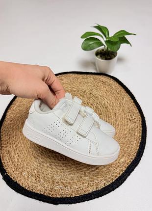 Білі кеди adidas на липучках