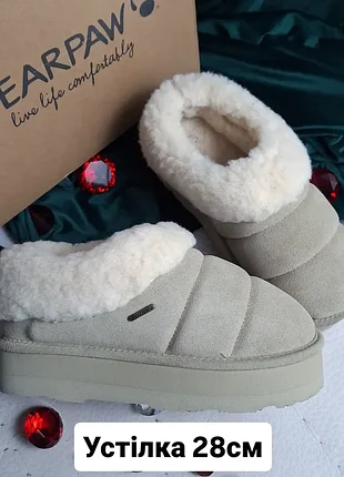 Bearpaw оригінал замшеві світло-оливкові короткі угги сліпери на плат