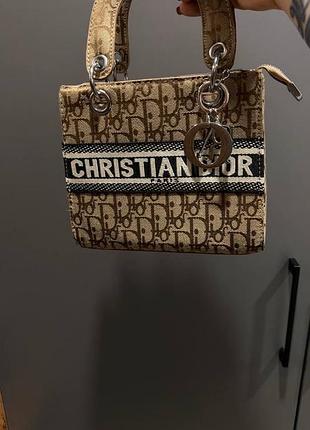 Dior сумка 5