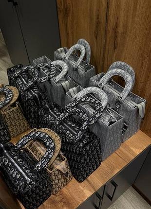 Dior сумка 6