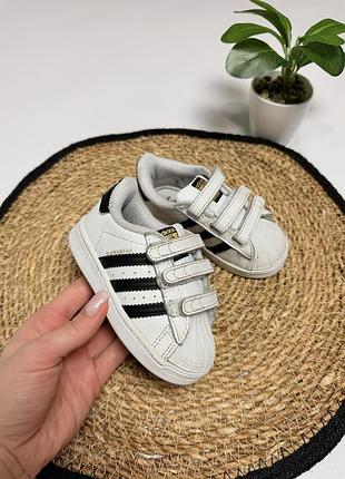 Кросівки adidas super star для дівчинки