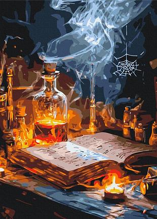 Картина за номерами "зілля та книги заклинань" bs54428 40×50 см