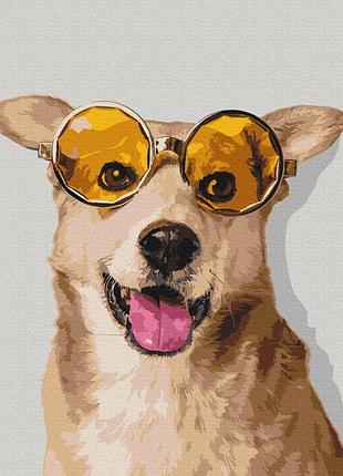 Картины по номерам «corgi hipster» pbs52094 40×50 см